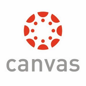 Read more about the article What Plagiarism checker does Canvas use?